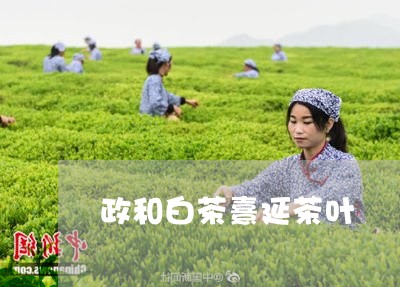 政和白茶熹延茶叶/2023090804271