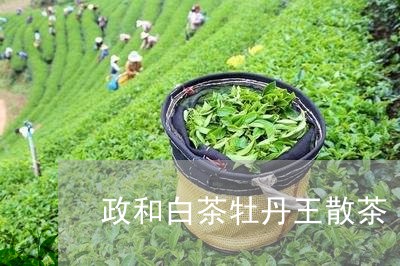 政和白茶牡丹王散茶/2023111592793