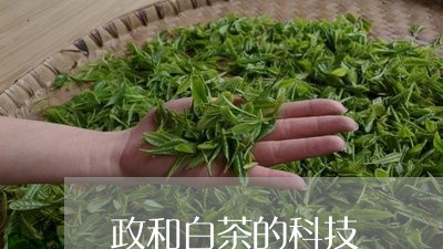 政和白茶的科技/2023082693078