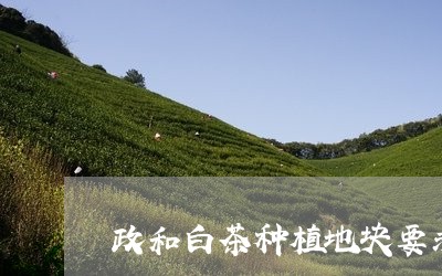 政和白茶种植地块要求/2023100155380