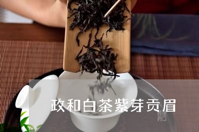 政和白茶紫芽贡眉/2023062073717