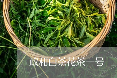 政和白茶花茶一号/2023062063837