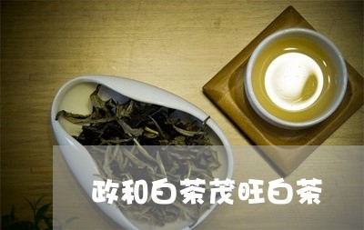 政和白茶茂旺白茶/2023062064038