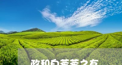 政和白茶茶之友/2023070126382