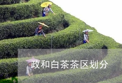 政和白茶茶区划分/2023090710373