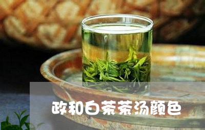 政和白茶茶汤颜色/2023062047258