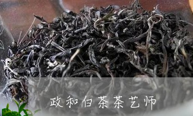 政和白茶茶艺师/2023082604138