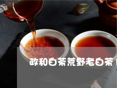 政和白茶荒野老白茶10g/2023111696157