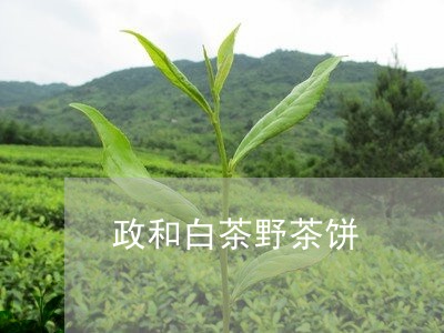 政和白茶野茶饼/2023082652726