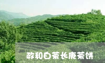 政和白茶长庚茶饼/2023062039483