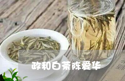 政和白茶陈爱华/2023082649684