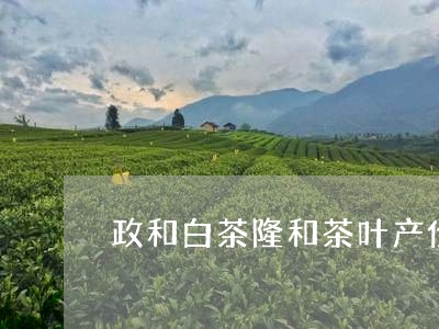 政和白茶隆和茶叶产价格/2023092495050