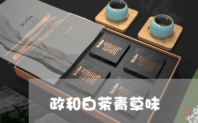 政和白茶青草味/2023112439492