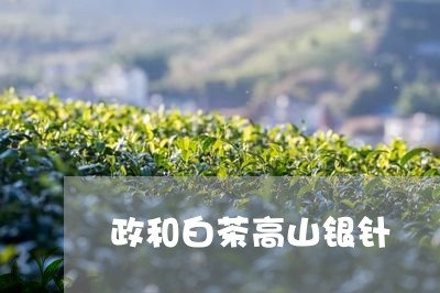 政和白茶高山银针/2023090767504