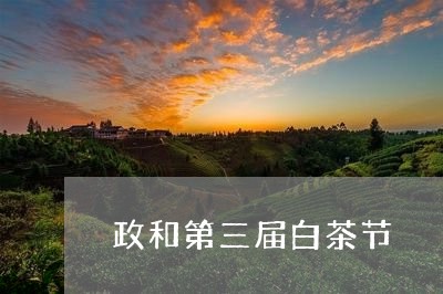 政和第三届白茶节/2023090754249