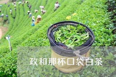 政和那杯口袋白茶/2023090715959