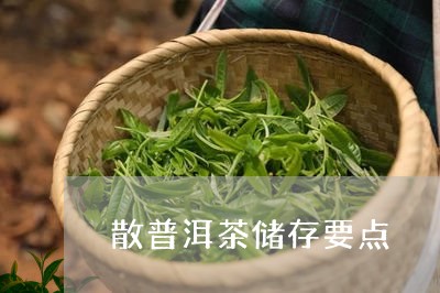 散普洱茶储存要点/2023120445138