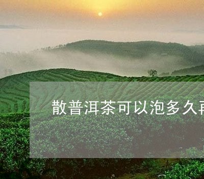 散普洱茶可以泡多久再喝/2023110621505