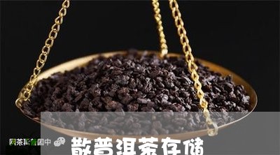 散普洱茶存储/2023042822328