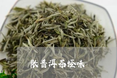 散普洱茶怪味/2023042643249