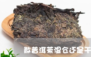 散普洱茶湿仓还是干仓/2023062017382