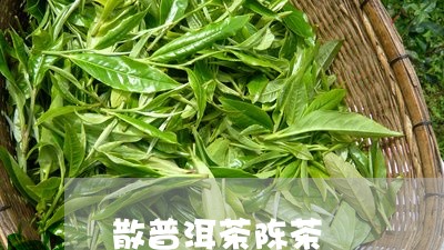 散普洱茶陈茶/2023042733981