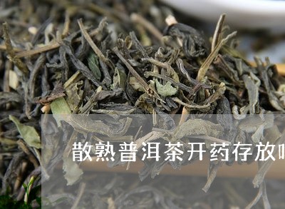 散熟普洱茶开药存放吗/2023061849373