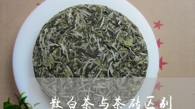 散白茶与茶砖区别/2023061905838