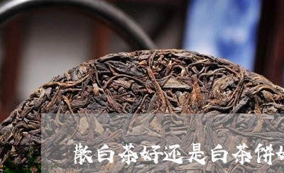 散白茶好还是白茶饼好/2023100150412