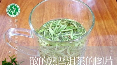 散的熟普洱茶的图片/2023120592058