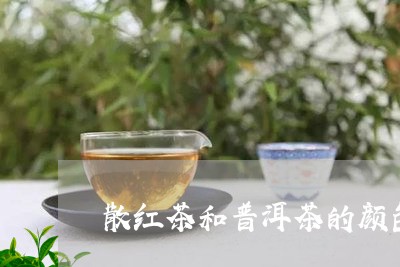 散红茶和普洱茶的颜色/2023062051684