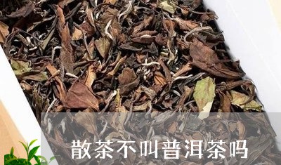 散茶不叫普洱茶吗/2023110653616