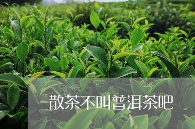 散茶不叫普洱茶吧/2023121648480