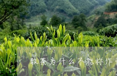 散茶为什么不能称作普洱茶/2023110222694