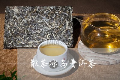 散茶冰岛普洱茶/2023121640703