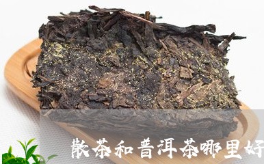 散茶和普洱茶哪里好喝/2023080364937