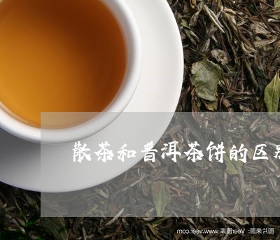 散茶和普洱茶饼的区别/2023062370403