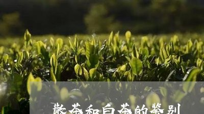 散茶和白茶的鉴别/2023061985959