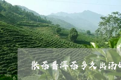 散茶普洱茶多久出汤好/2023110665835