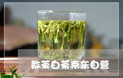 散茶白茶京东自营/2023061904947