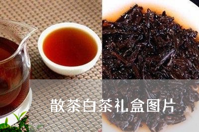 散茶白茶礼盒图片/2023061913049