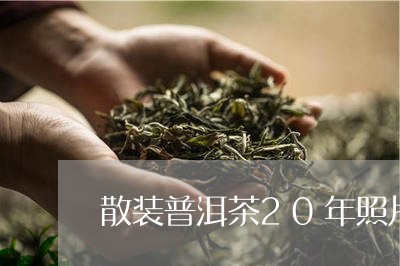 散装普洱茶20年照片/2023062994960