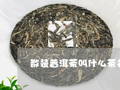 散装普洱茶叫什么茶名称/2023103189583