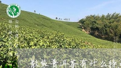 散装普洱茶有什么特点/2023100517372