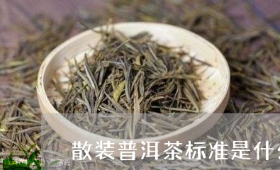 散装普洱茶标准是什么样的/2023121692706