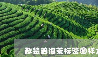 散装普洱茶标签图样大全/2023112706137