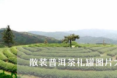 散装普洱茶礼罐图片大全/2023103108472