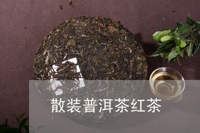 散装普洱茶红茶/2023082973938