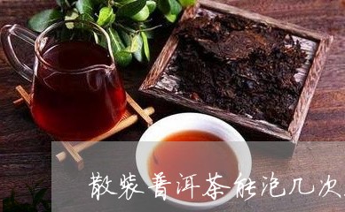 散装普洱茶能泡几次茶吗/2023121624957