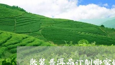 散装普洱茶订制哪家好/2023062703937